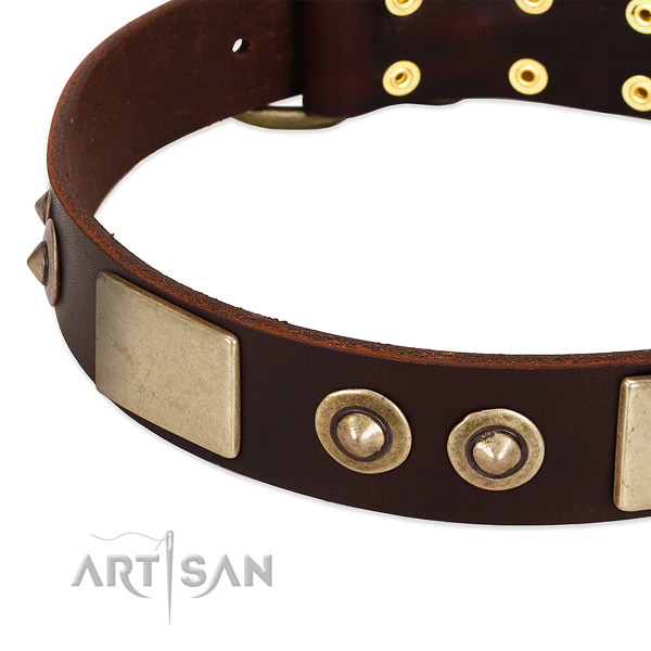 Rust resistant embellishments on full grain leather dog collar for your pet
