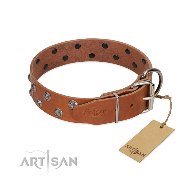 Strong traditional buckle on adorned full grain genuine leather dog collar