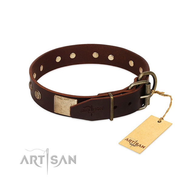 Rust resistant adornments on everyday use dog collar