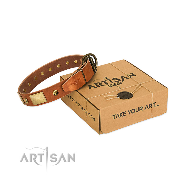 Quality full grain genuine leather collar with corrosion proof adornments for your doggie