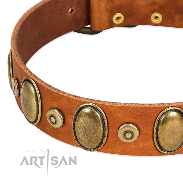 Top notch genuine leather collar for your impressive dog