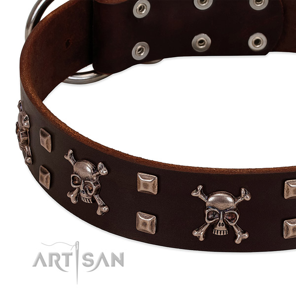 Trendy collar of genuine leather for your attractive doggie