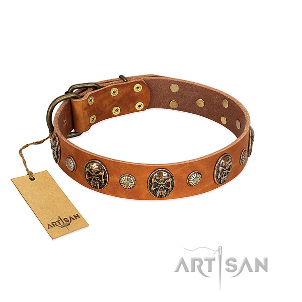 Decorated full grain genuine leather dog collar for walking