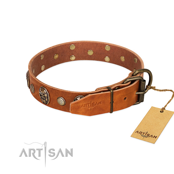 Corrosion proof traditional buckle on full grain genuine leather collar for basic training your canine