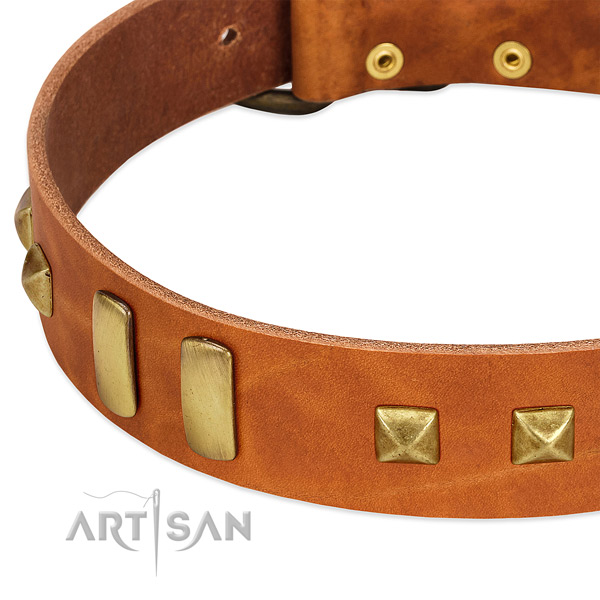 Gentle to touch full grain leather dog collar with decorations for everyday use