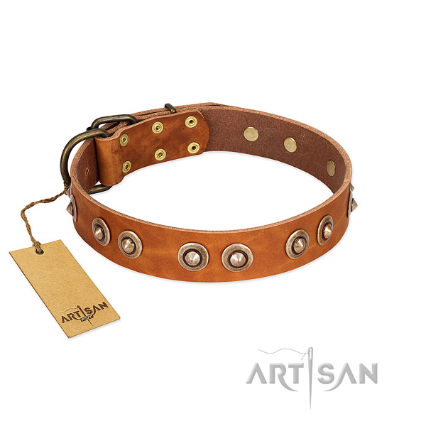 Reliable buckle on leather dog collar for your dog