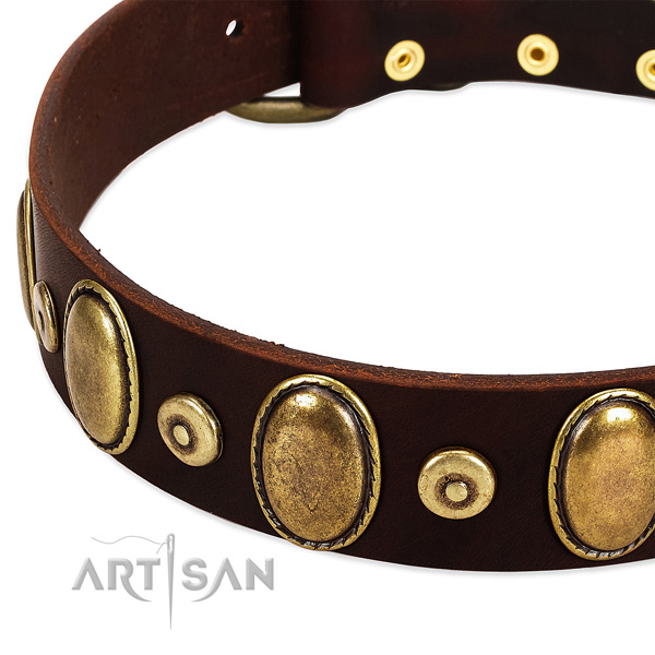 Reliable full grain genuine leather dog collar with embellishments for everyday use