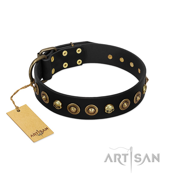 Full grain leather collar with significant adornments for your dog