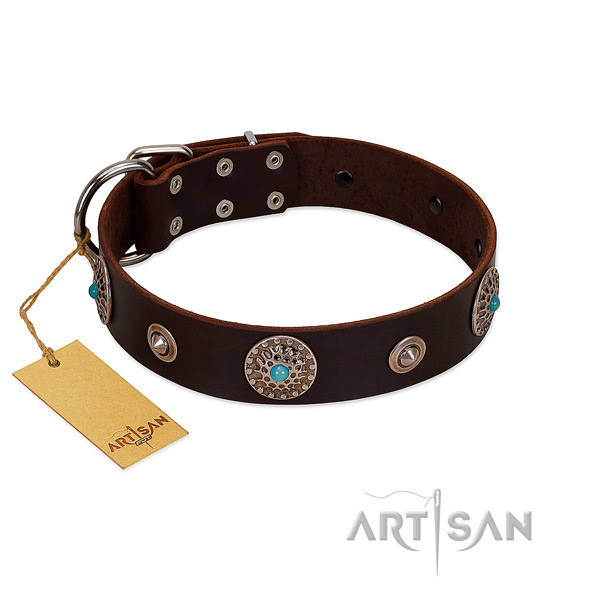 Quality full grain leather dog collar made for your four-legged friend