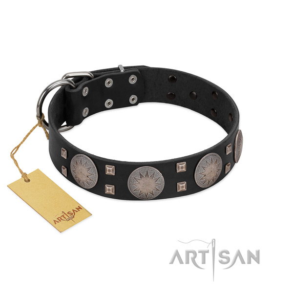 Fashionable full grain genuine leather dog collar for walking in style your pet