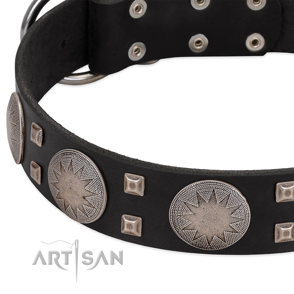 Trendy full grain natural leather dog collar with durable hardware