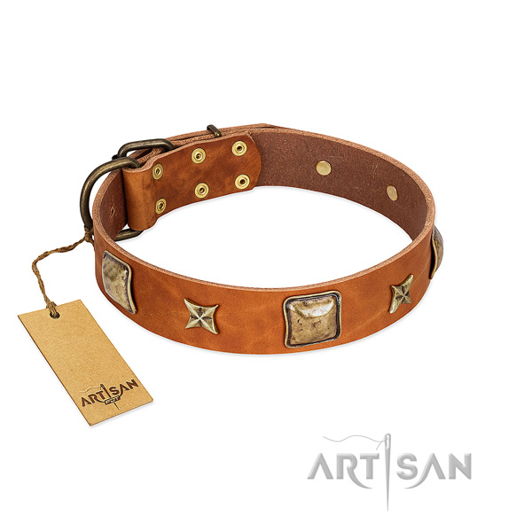 Best quality leather collar for your pet