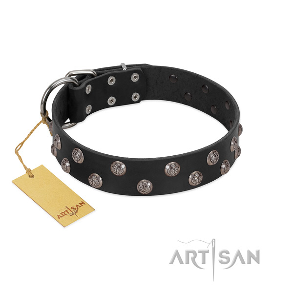 Walking soft to touch leather dog collar with decorations