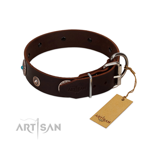 Stylish adorned natural leather dog collar