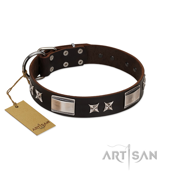 Handmade dog collar of leather