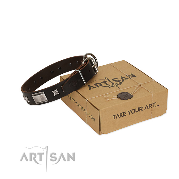 Top quality collar of full grain genuine leather for your stylish dog