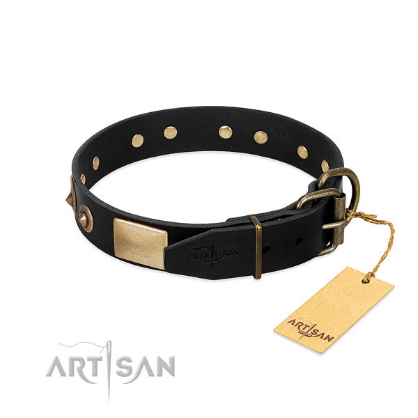 Rust resistant buckle on easy wearing dog collar