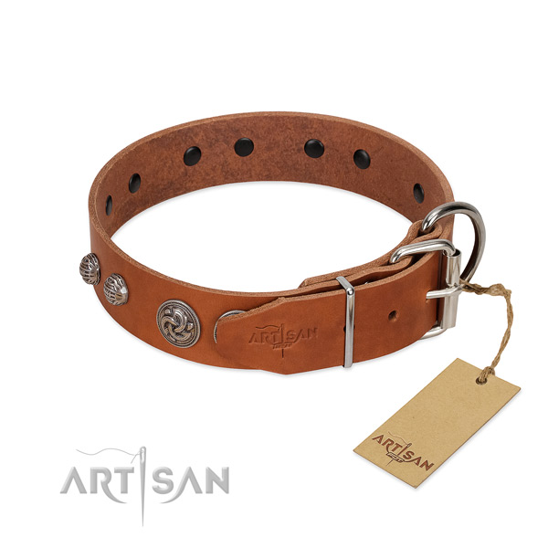 Durable buckle on genuine leather dog collar for your pet