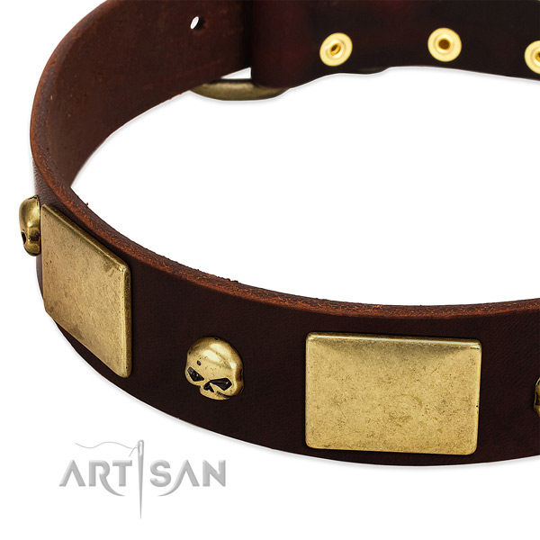 Top rate natural leather collar with rust resistant adornments for your canine