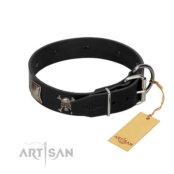 Top notch leather collar for your attractive canine
