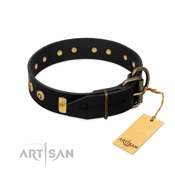 Soft to touch full grain leather dog collar with remarkable adornments