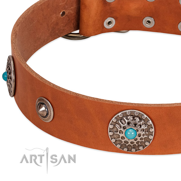 Everyday use soft to touch full grain natural leather dog collar with studs