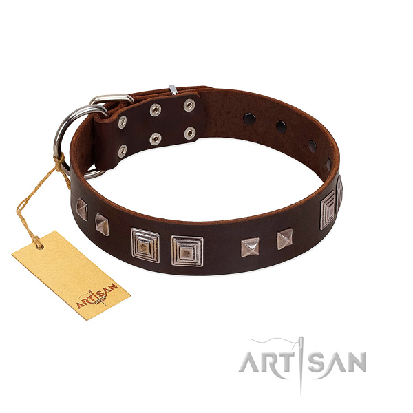 Reliable hardware on natural genuine leather dog collar for everyday walking