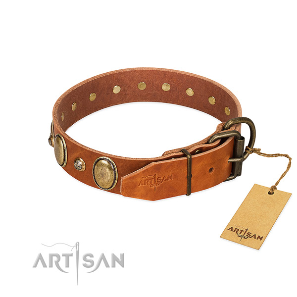 Reliable hardware on full grain natural leather collar for fancy walking your dog