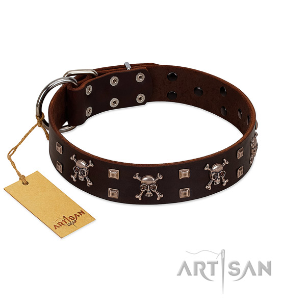 Soft full grain genuine leather dog collar handcrafted for your canine