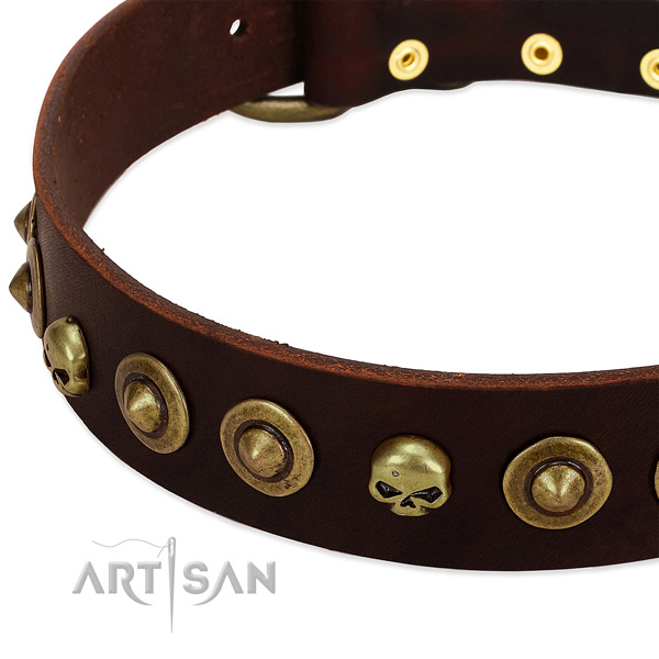 Amazing adornments on natural leather collar for your dog