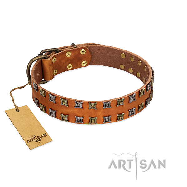 Soft to touch full grain genuine leather dog collar with decorations for your doggie