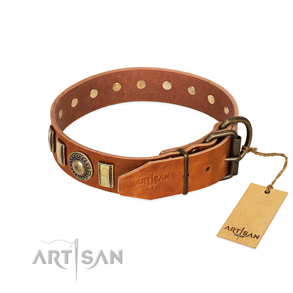 Handmade leather dog collar with strong D-ring