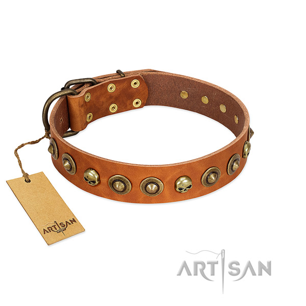 Genuine leather collar with amazing studs for your four-legged friend