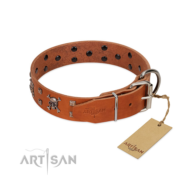 Walking top notch full grain natural leather dog collar with studs