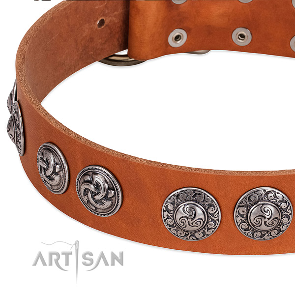 Adjustable leather dog collar for everyday walking