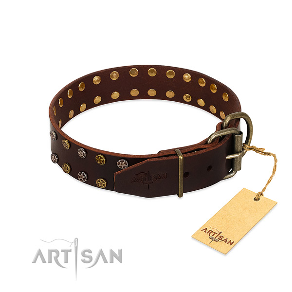 Daily use leather dog collar with unusual embellishments