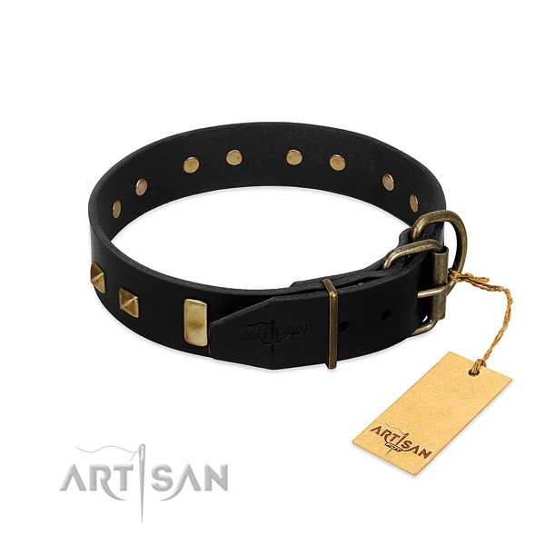 Top rate full grain leather dog collar with reliable fittings