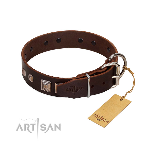 Walking genuine leather dog collar with extraordinary studs