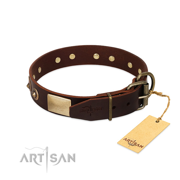 Durable traditional buckle on daily walking dog collar