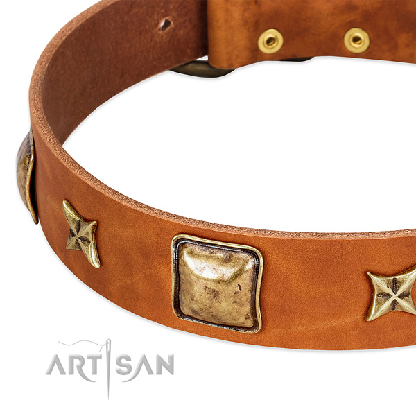 Durable hardware on full grain genuine leather dog collar for your canine