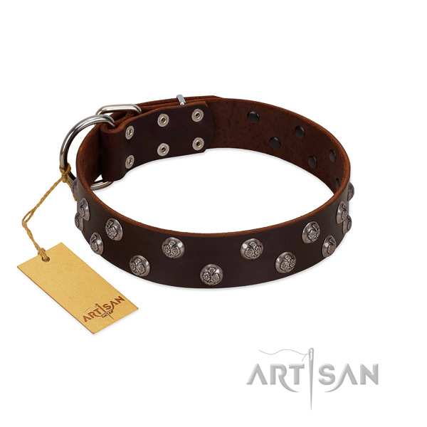 Top rate full grain genuine leather dog collar with adornments