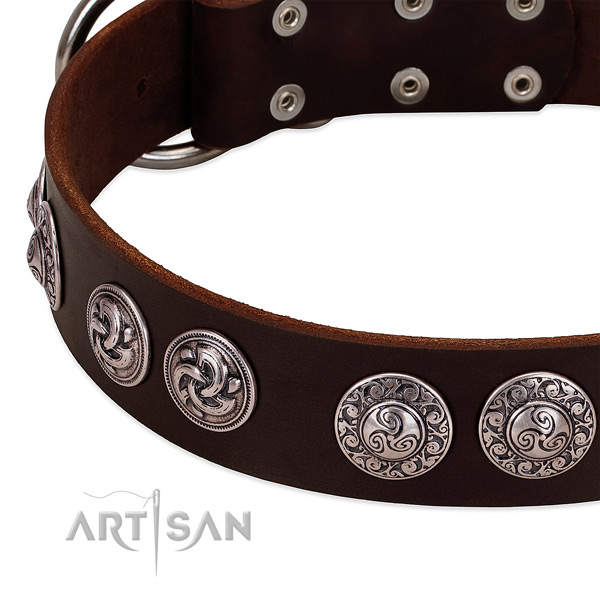 Remarkable leather collar for your four-legged friend everyday walking