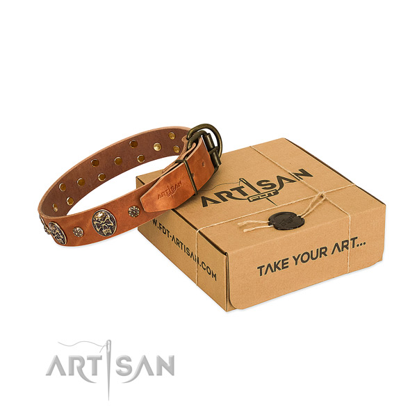 Corrosion proof adornments on leather dog collar for your pet