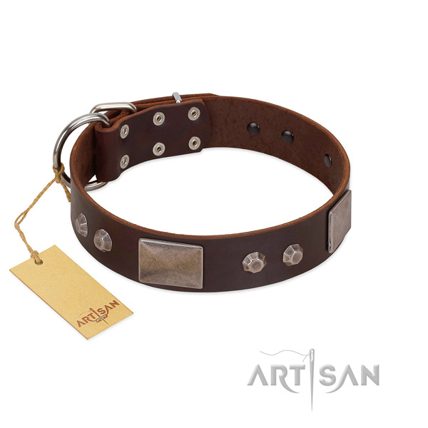 Amazing full grain leather dog collar with strong hardware