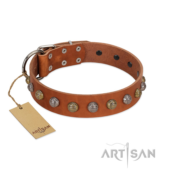 Rust-proof traditional buckle on full grain genuine leather dog collar for everyday walking your pet