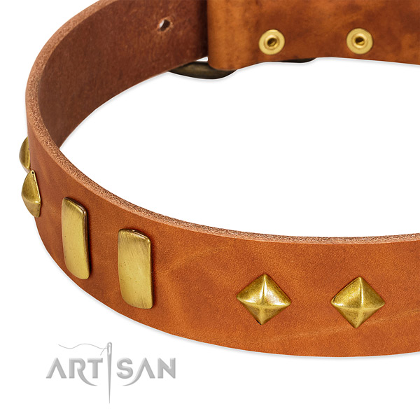 Easy wearing full grain natural leather dog collar with top notch studs