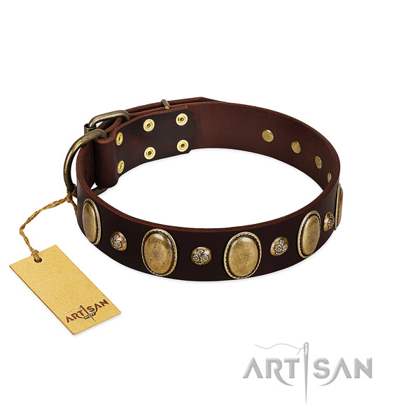 Genuine leather dog collar of top rate material with stunning decorations