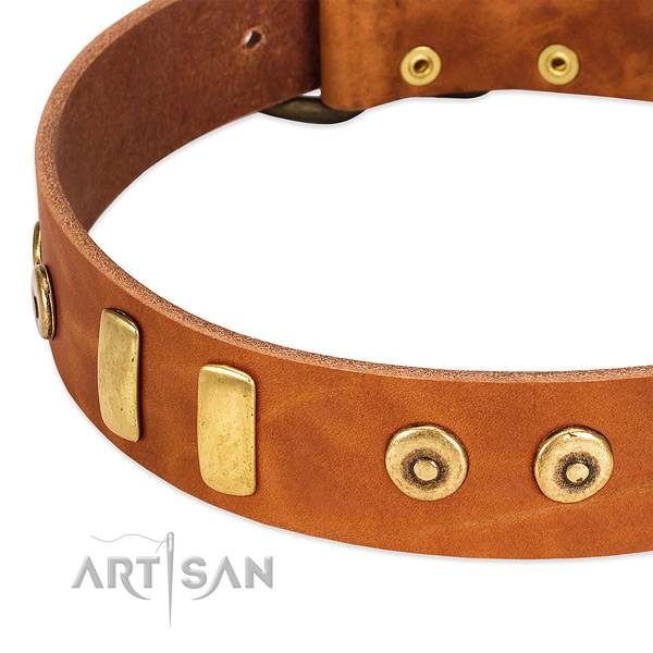 Quality full grain genuine leather collar with incredible adornments for your dog