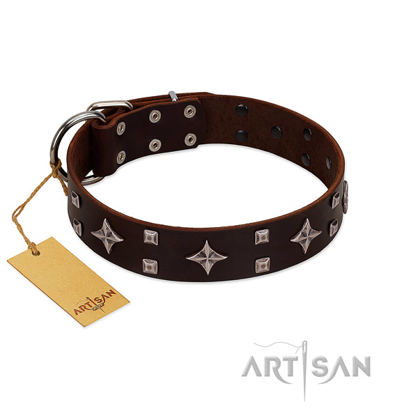 Remarkable leather collar for your dog everyday walking