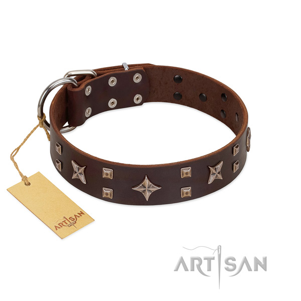Everyday use full grain natural leather dog collar with stylish studs